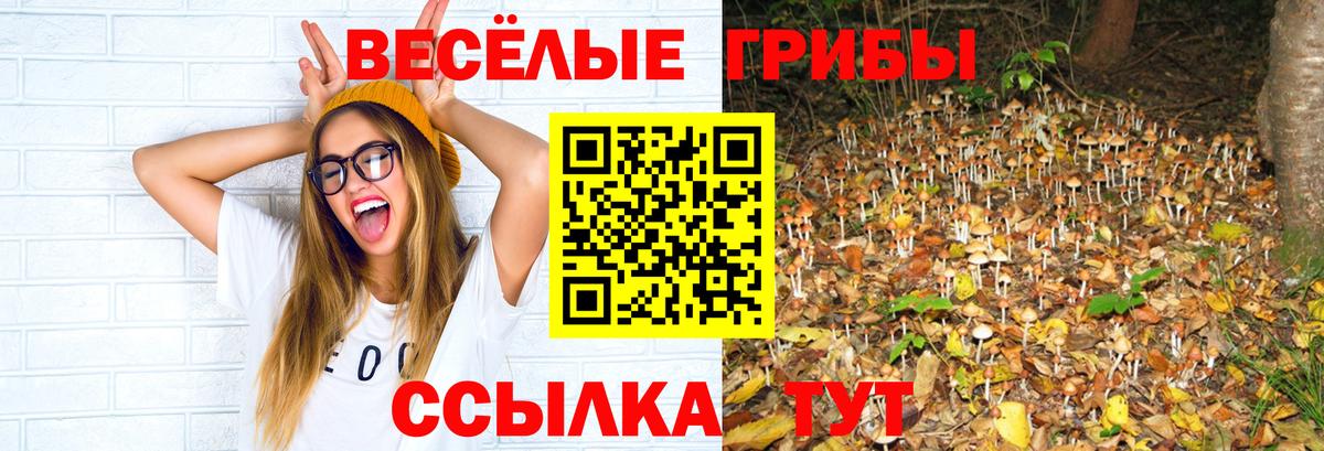 Псилоцибиновые грибы MAGIC MUSHROOMS Удомля