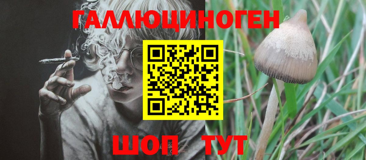 хочу наркоту  Псилоцибиновые грибы прущие грибы  Удомля  Вход с VPN  Галлюциногенные грибы ЛСД 